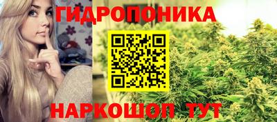 ALPHA PVP Обь