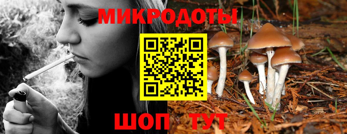 Галлюциногенные грибы MAGIC MUSHROOMS  Вход с VPN  Стрежевой  Галлюциногенные грибы Magic Shrooms 